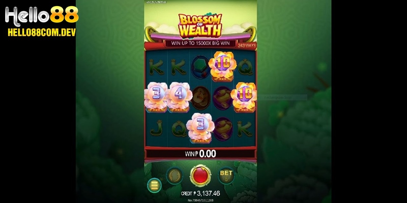 Hoa Phú Quý - Blossom Of Wealth nổi đình đám tại khu vực Châu Á